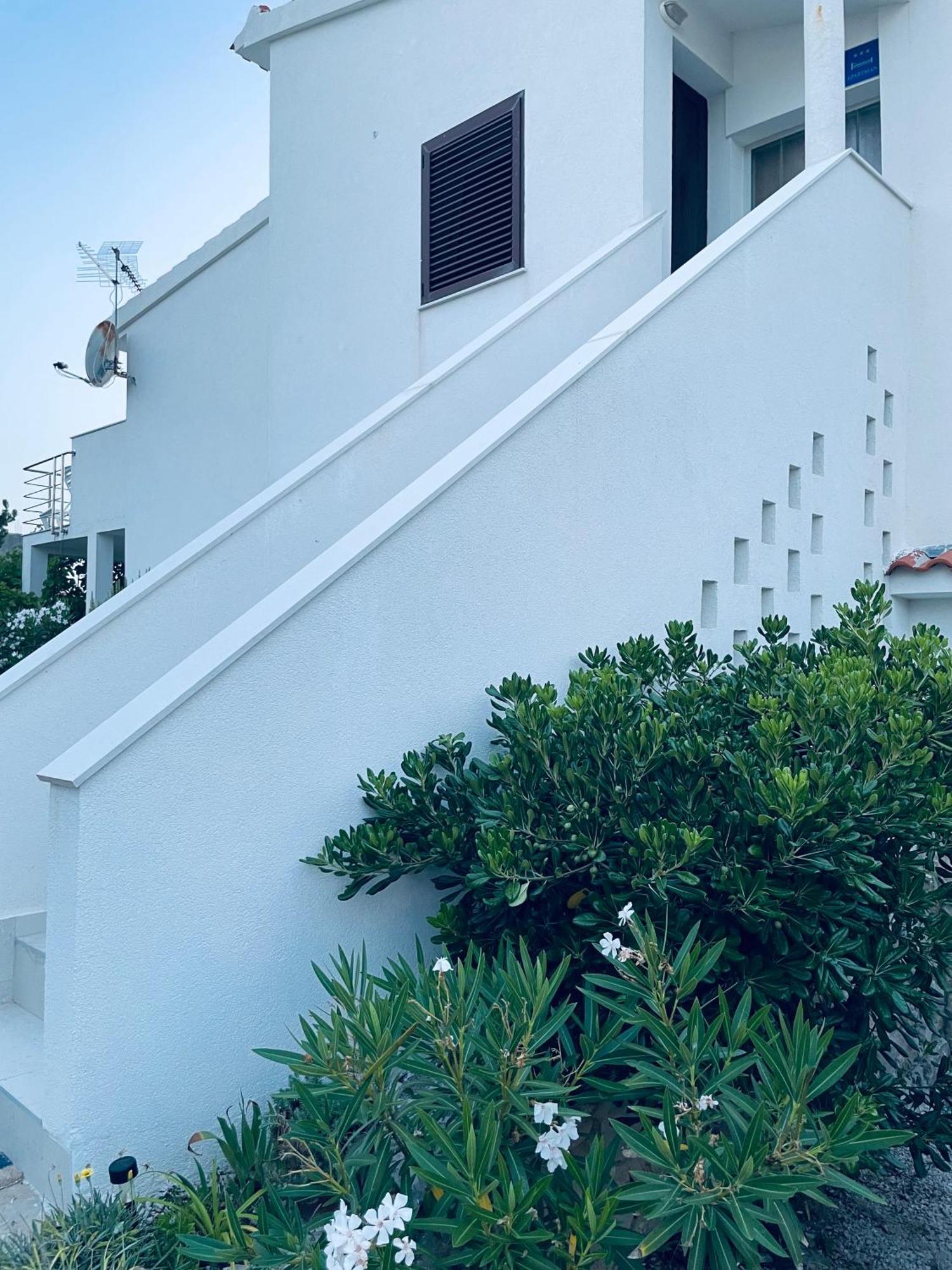 Apartment Vucic Ražanac المظهر الخارجي الصورة